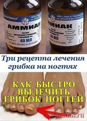 Дерматит грибок лечение